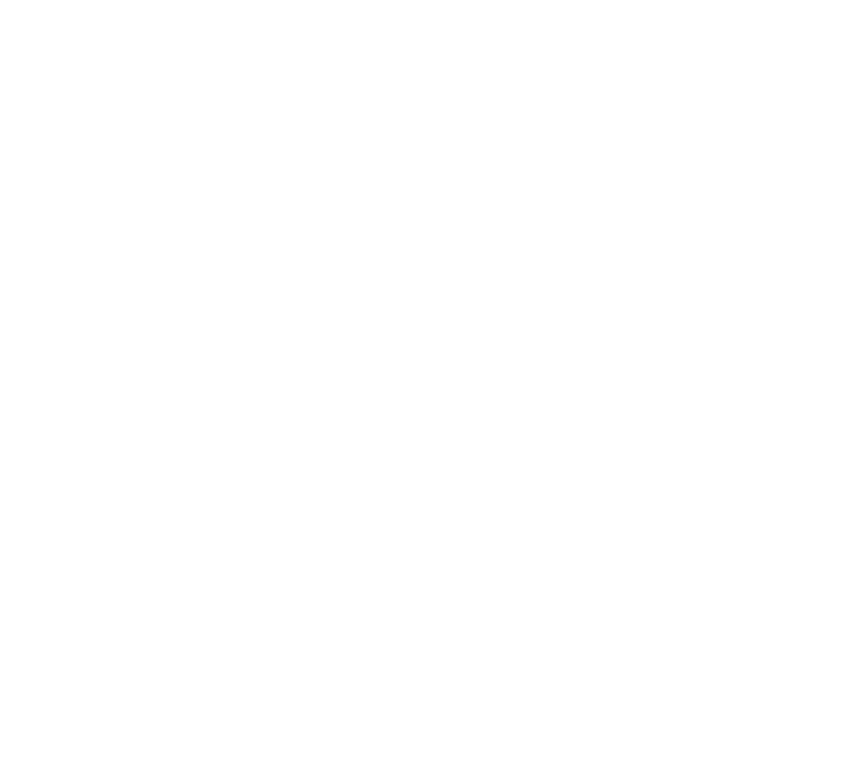 King Capital Advisors